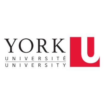 york university